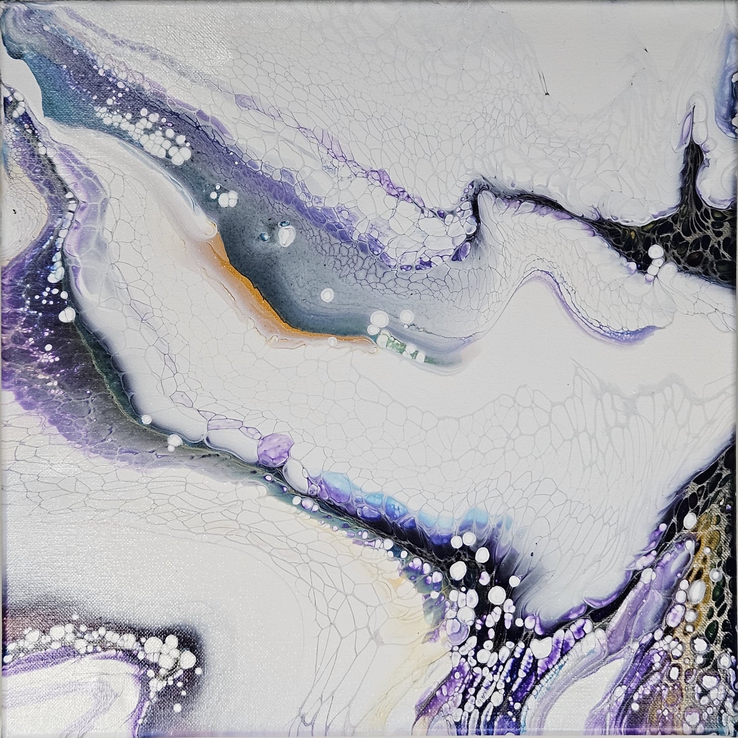 Aubergine Dream